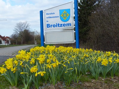 Frühling in Broitzem mit Narzissen_09